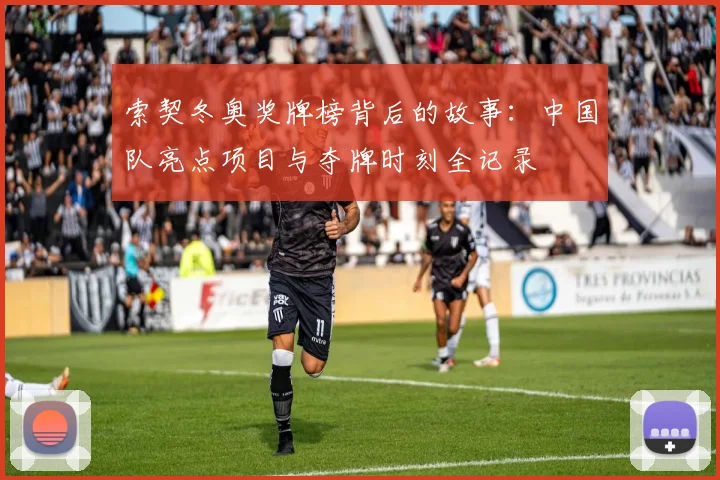 索契冬奥奖牌榜背后的故事：中国队亮点项目与夺牌时刻全记录