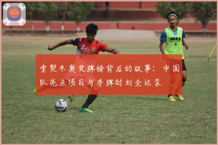 索契冬奥奖牌榜背后的故事：中国队亮点项目与夺牌时刻全记录