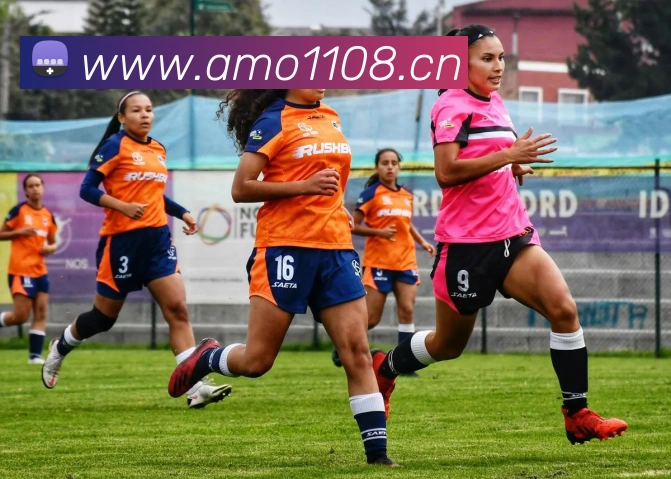 半岛网页版登录入口平台生态图