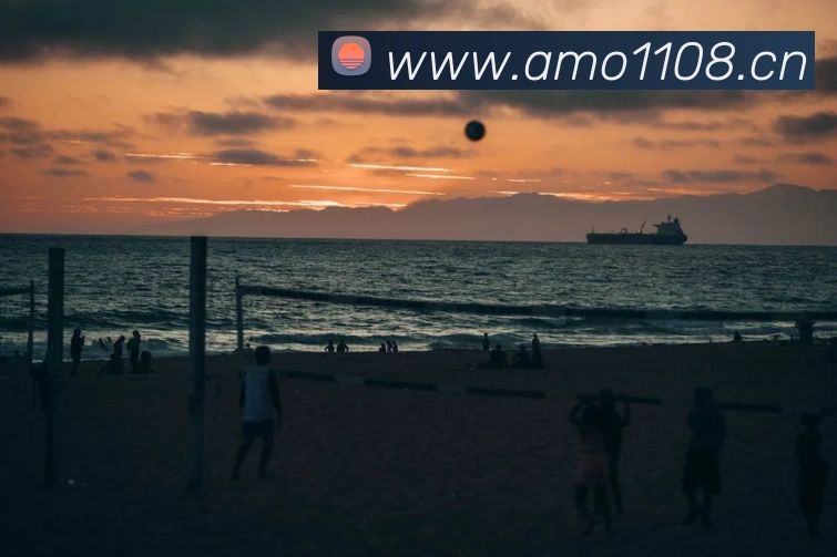 半岛网页版登录入口APP 封面图